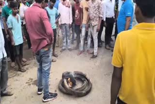 People blocked road after road accident in Deoghar