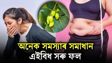 Belly fat, obesity, cough and gas problems, just a small fruit Harad is the cure for all these