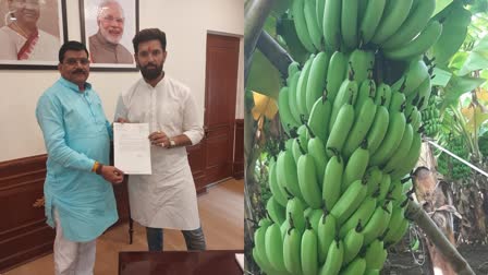 BURHANPUR BANANA CLUSTER DEMAND