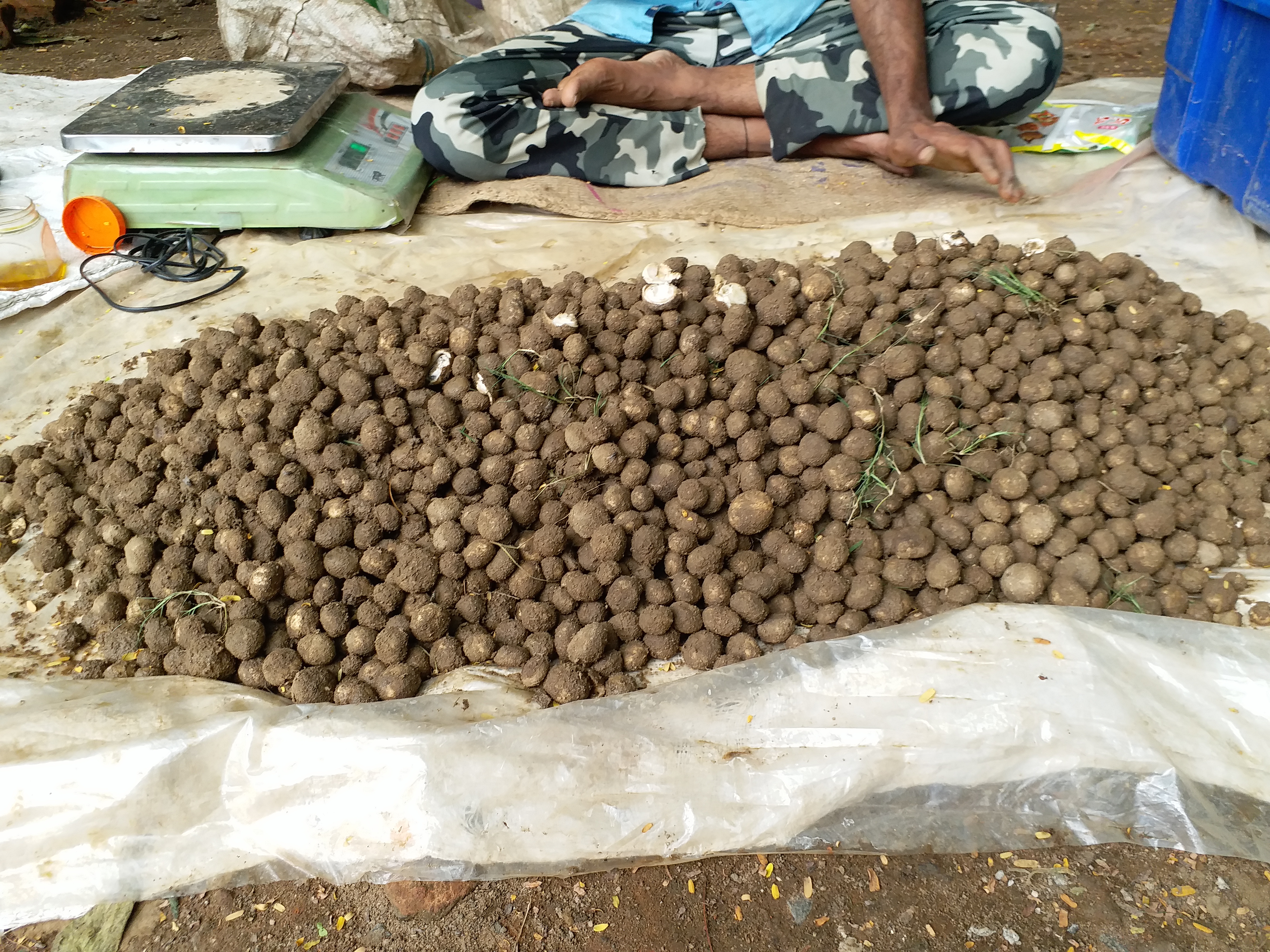 Sarai vegetable Price 1000 rs