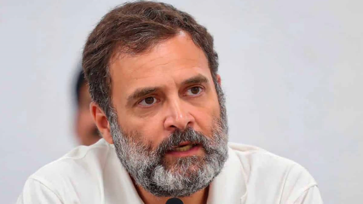 Rahul Gandhi tells SC he will not apologise