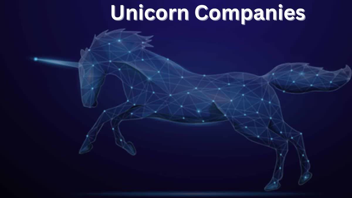 Unicorn Companies