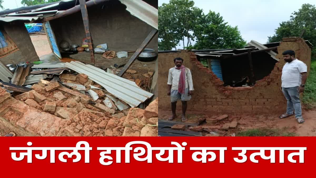 Wild elephants rampage damaged many houses in Khunti