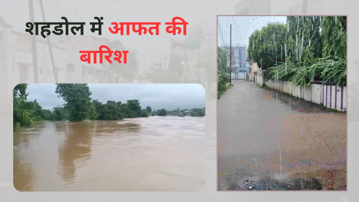 Heavy Rain In Shahdol