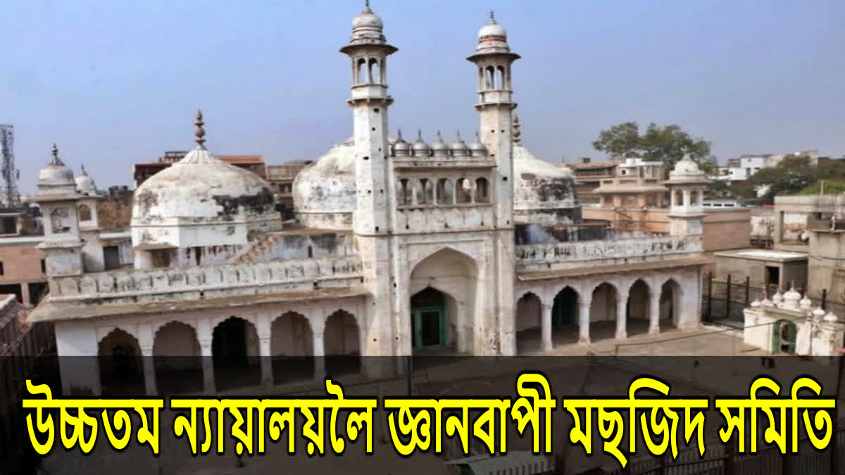 Gyanvapi Mosque ASI Survey