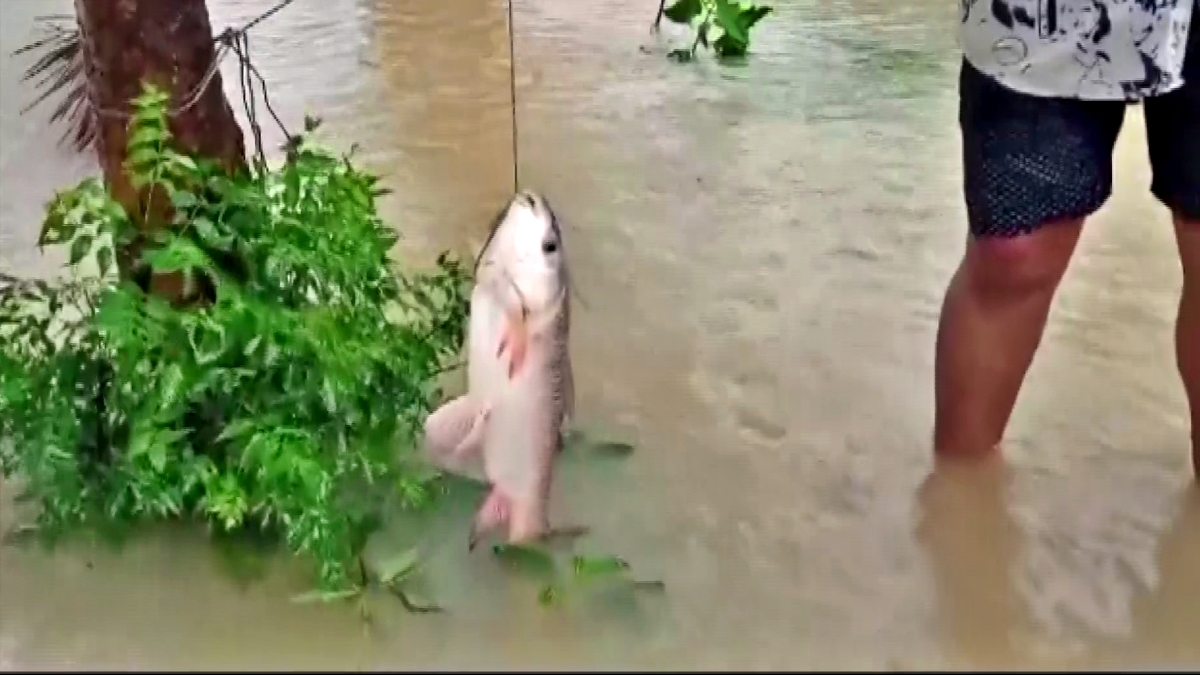 Streets of Odisha Transformed into Urban Fishing Oasis after Torrential Rains