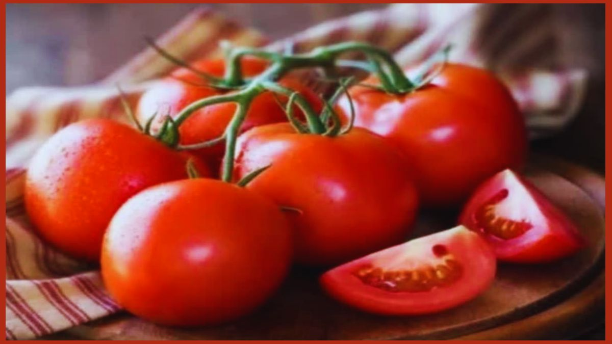 Tomato Price