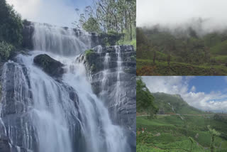 idukki tourist spot periyakanal  idukki tourist spot  periyakanal  idukki periyakanal  periyakanal waterfalls  tourist spot periyakanal  പെരിയകനാൽ  ഇടുക്കി പെരിയകനാൽ  munnar  munnar periyakanal  പെരിയകനാൽ മൂന്നാർ  മൂന്നാർ  ഇടുക്കി വിനോദസഞ്ചാര കേന്ദ്രം പെരിയകനാൽ  പെരിയകനാൽ പവർ ഹൗസ് വെള്ളച്ചാട്ടം  പവർ ഹൗസ് വെള്ളച്ചാട്ടം  പെരിയകനാൽ വെള്ളച്ചാട്ടം  power house waterfalls