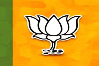 BJP Telangana Election Plan 2023