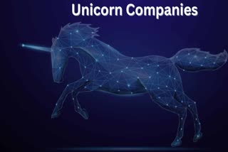 Unicorn Companies