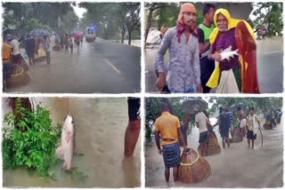 Locals Catch Fish in Roads