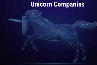 Unicorn Companies: વૈશ્વિક સ્તરે નવા યુનિકોર્નમાં 80 ટકાનો ઘટાડો, જાણો શું હતું કારણ