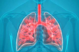 Lung Function Tests