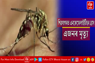 One people died of Japanese Encephalitis in Sivsagar