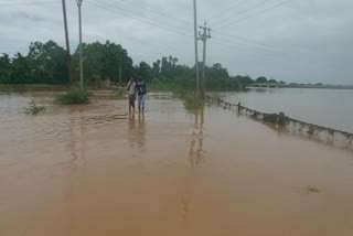 Baitarani river flowing above danger mark