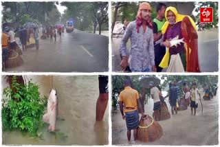 Flood in Odisha