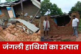 Wild elephants rampage damaged many houses in Khunti