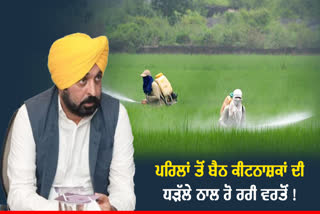 Punjab Govt. Ban Pesticides, Pesticides Ban In Punjab, Bhagwant Mann