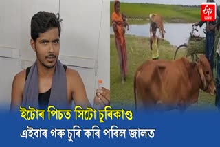 Cow Thief detained at Kalgachia