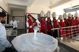 Gandhinagar News : ગુજરાતમાં દૂધ ઉત્પાદનને લઇને સામે આવ્યાં મહત્ત્વના આંકડા, 500 દૂધઘર બન્યાં