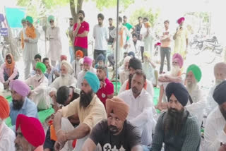 Indefinite dharna continues in Mansa against drugs