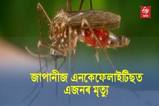 One Died of Japanese Encephalitis in Chirang