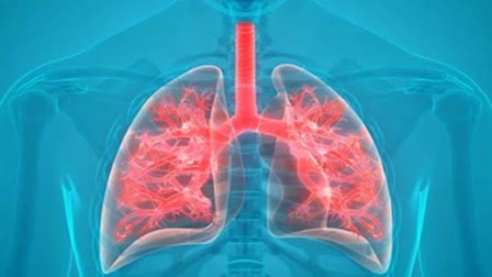 Lung Function Tests