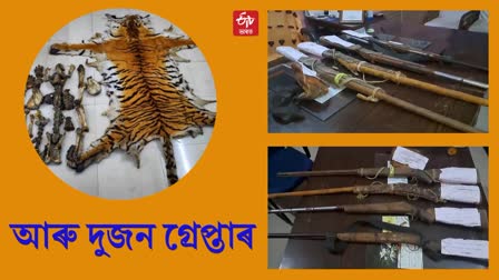 Tiger killing incident in Nameri national park