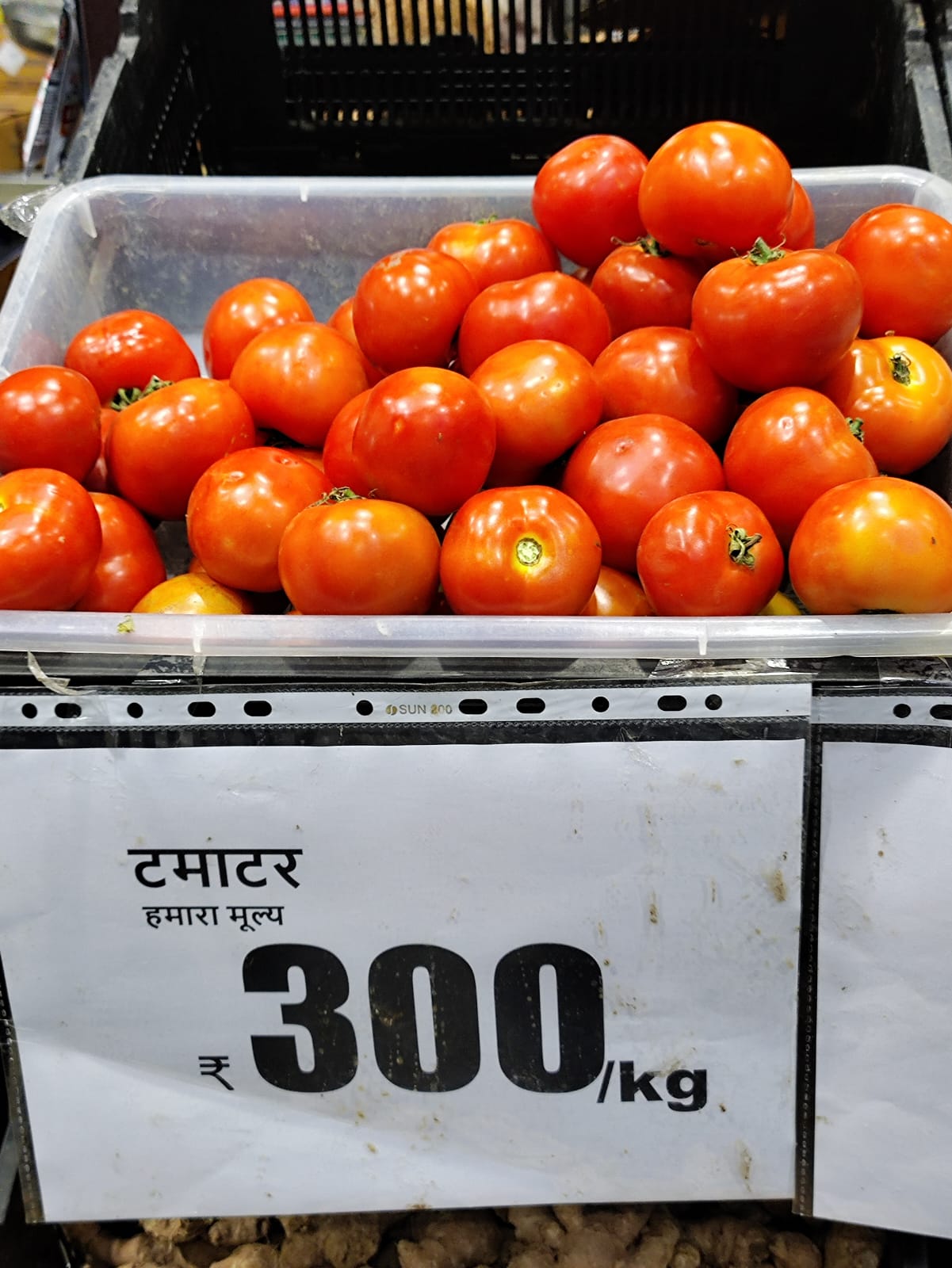 tomato price in dehradun