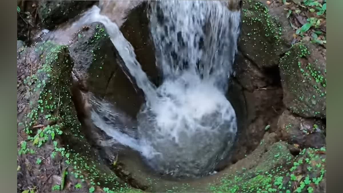 An amazing well Inside the forest of Sulya