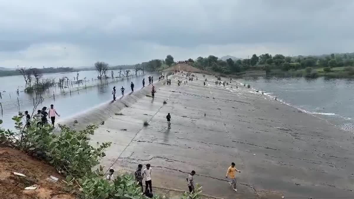 Heacy rains lead to rise in water level in water bodies in Rajasthan