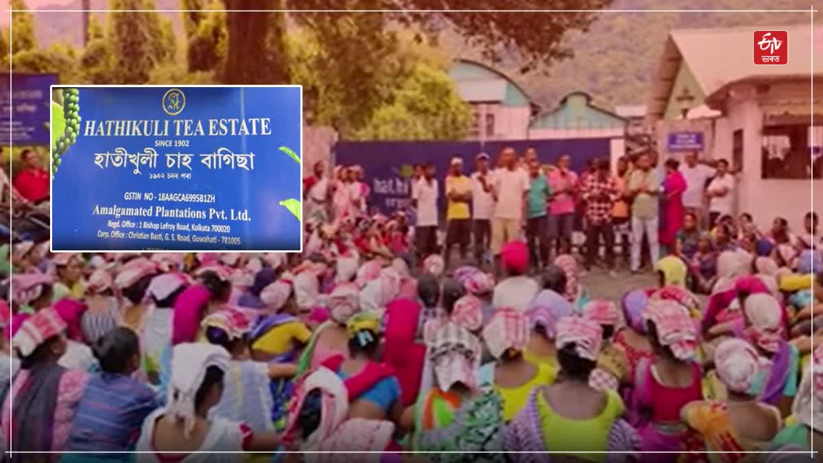 Protest in Kaziranga