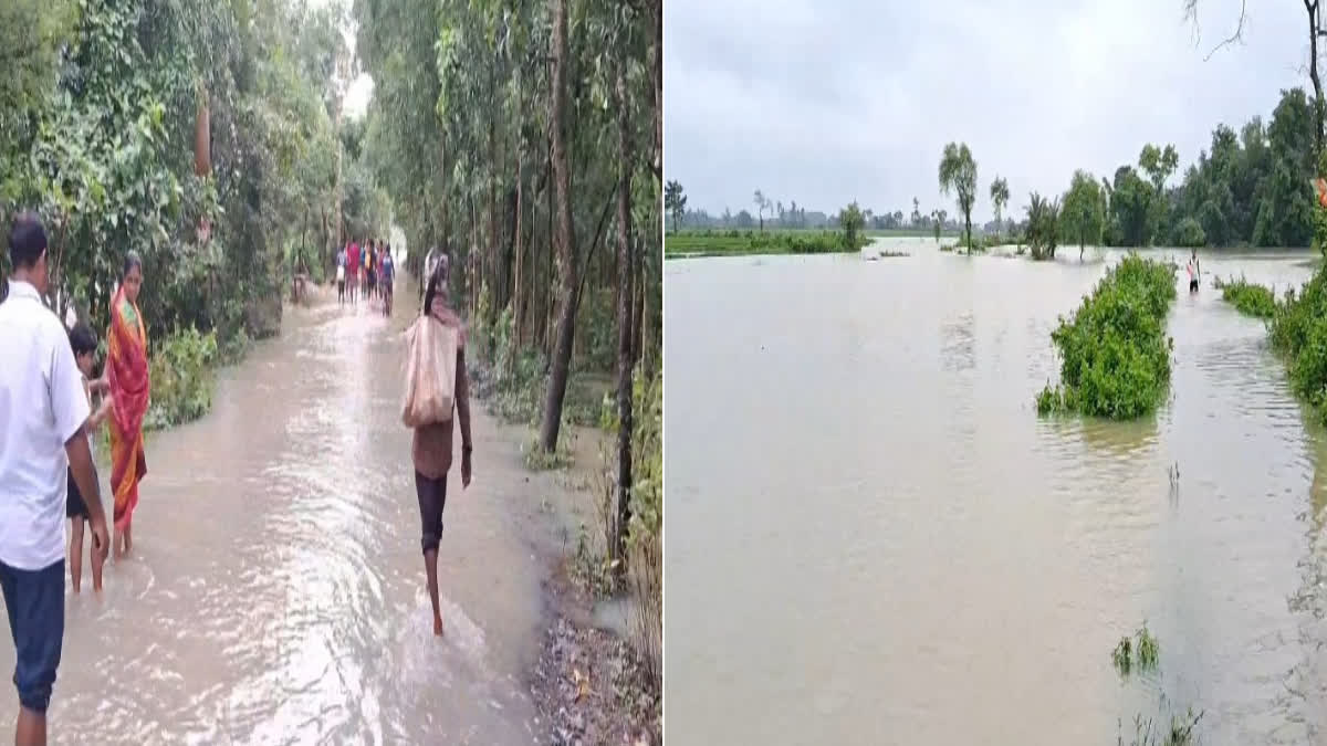 Flood Situation in Kotalpur