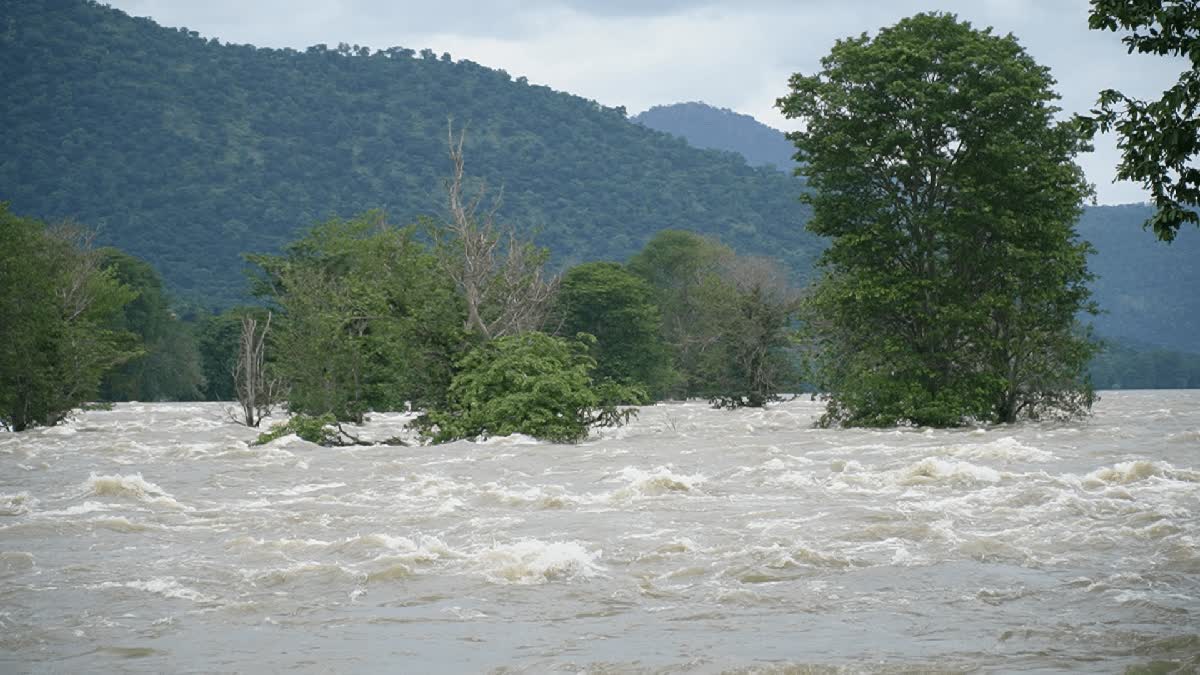 ஒகேனக்கல் காவிரி ஆறு