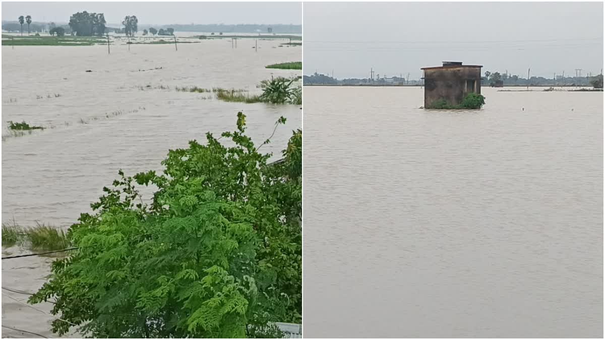 WATER LOGGED FARMING FIELD