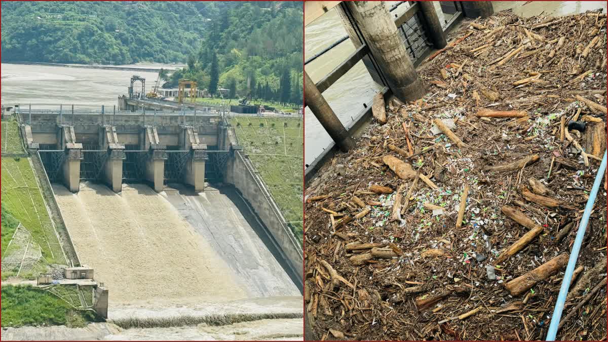 Pandoh Dam