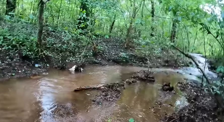 An amazing well Inside the forest of Sulya