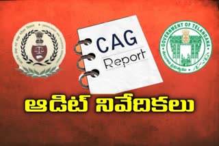 CAG report