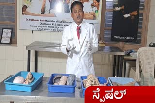 Dr. Mahanthesha Ramannavara