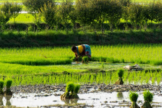 pm-narendra-modi-farmers-food-security-international-conference-of-agricultural-economists