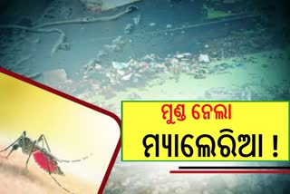 ରାଜ୍ୟରେ ବଢୁଛି ମ୍ୟାଲେରିଆ, ରାୟଗଡାରେ ଚତୁର୍ଥ ଶ୍ରେଣୀ ଛାତ୍ରଙ୍କ ମୃତ୍ୟୁ !