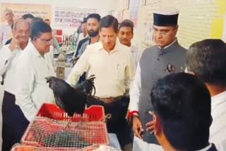 Bhopal exhibition Kadaknath