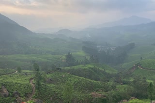 Western Ghats across six states  വയനാട് ദുരന്തം  പശ്ചിമഘട്ട സംരക്ഷണം  Madhav Gadgil