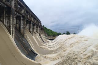 eight-gates-opened-due-to-increase-in-water-pressure-at-tenughat-dam