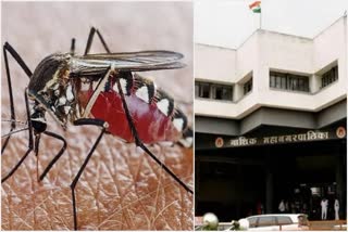 434 Dengue Cases Found In Nashik, Municipal Corporation trying to hide number of patients