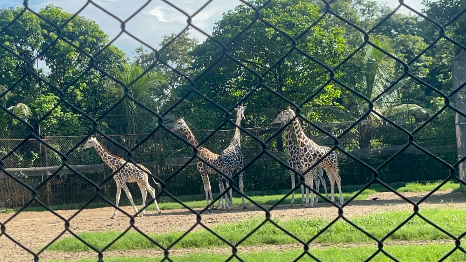 Braille Board in Alipore Zoo