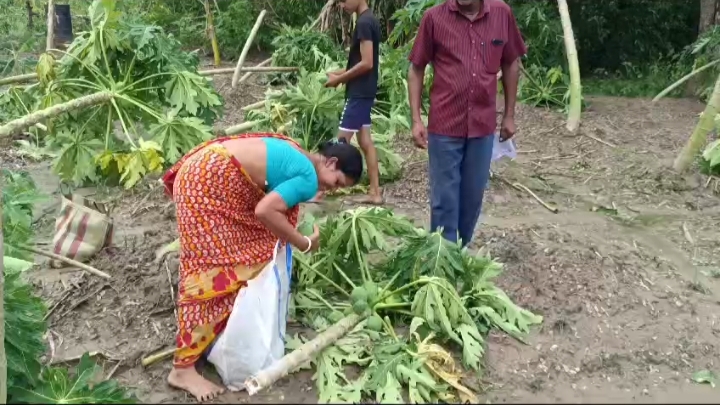 Cyclone Hits Swarupnagar Village