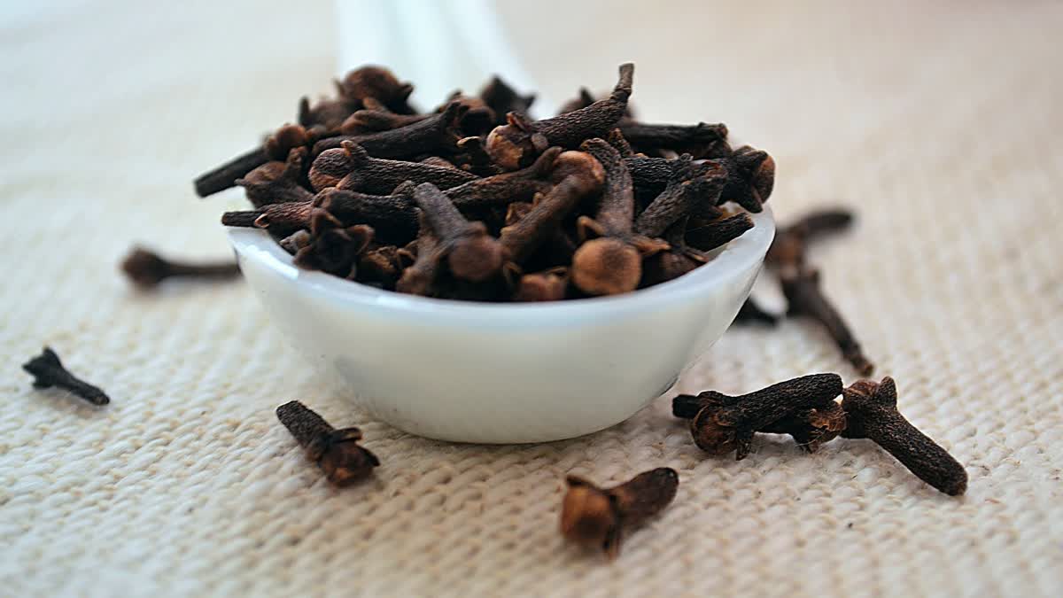 Clove for Health News