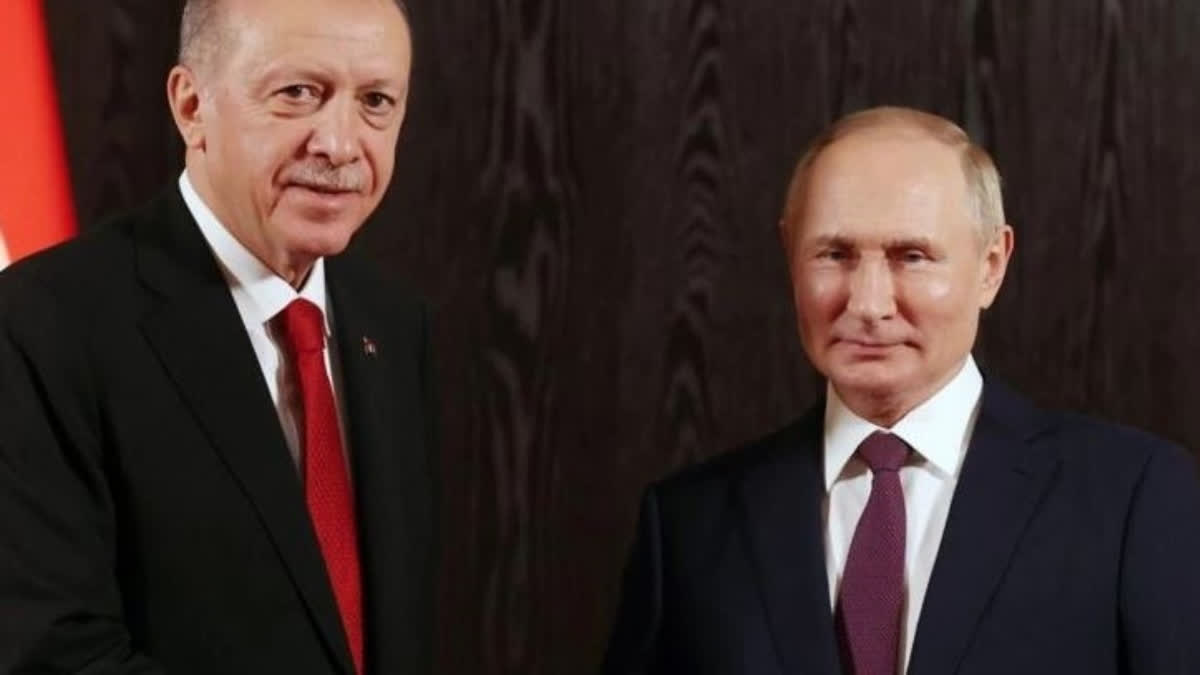 What's at stake when Erdogan meets Putin in a bid to reestablish the Black Sea grain deal?