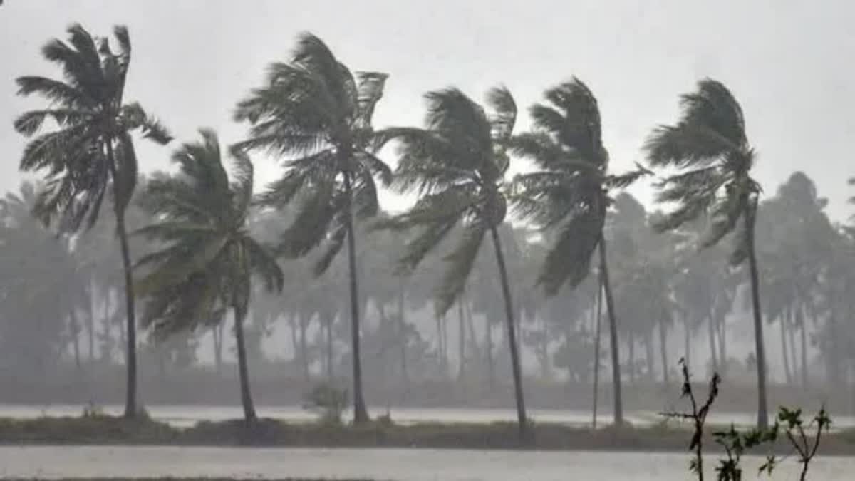 Heavy Rains In Various Districts  ശക്തമായ മഴ  ഇടിമിന്നലോടു കൂടിയ മഴയ്ക്കും കാറ്റിനും സാധ്യത  Kerala for the next five days  heavy rains  തെക്കൻ കേരളം  വിവിധ ജില്ല  Yellow Alert  Chance of heavy rain  orange Alert  യെല്ലോ അലെർട്ട്  കേന്ദ്ര കാലാവസ്ഥ വകുപ്പ്  സാധ്യത